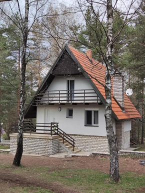 PLANINSKA VILA SMIGIC
